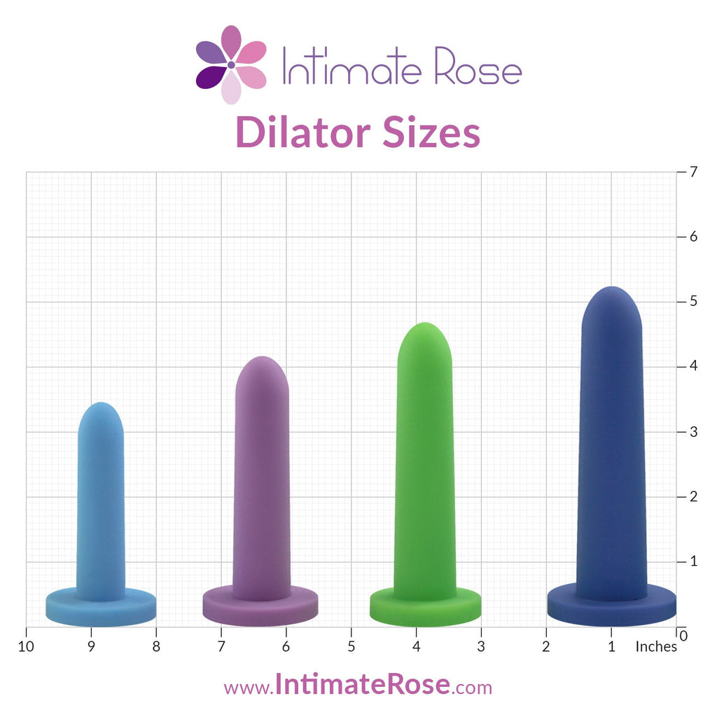 Medium Trainer (Dilator) Set