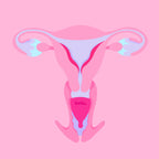 Average Cervix Menstrual Cup